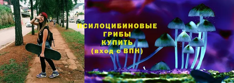 Псилоцибиновые грибы Psilocybe  закладка  Киреевск 